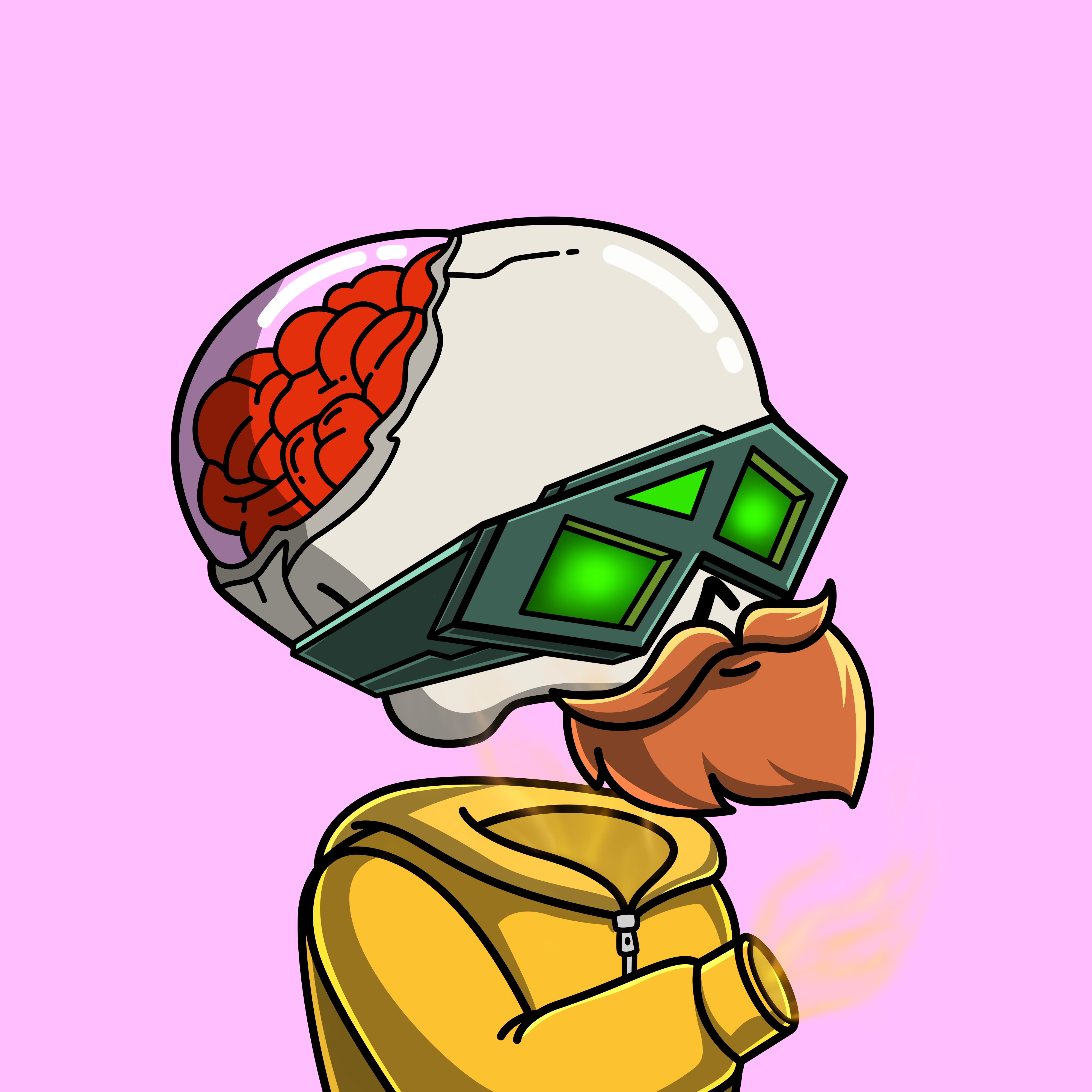 Illustrated Preview